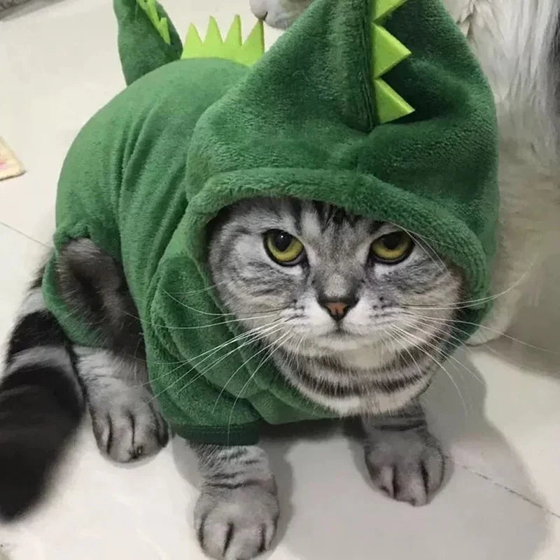 kitten Dinosaur