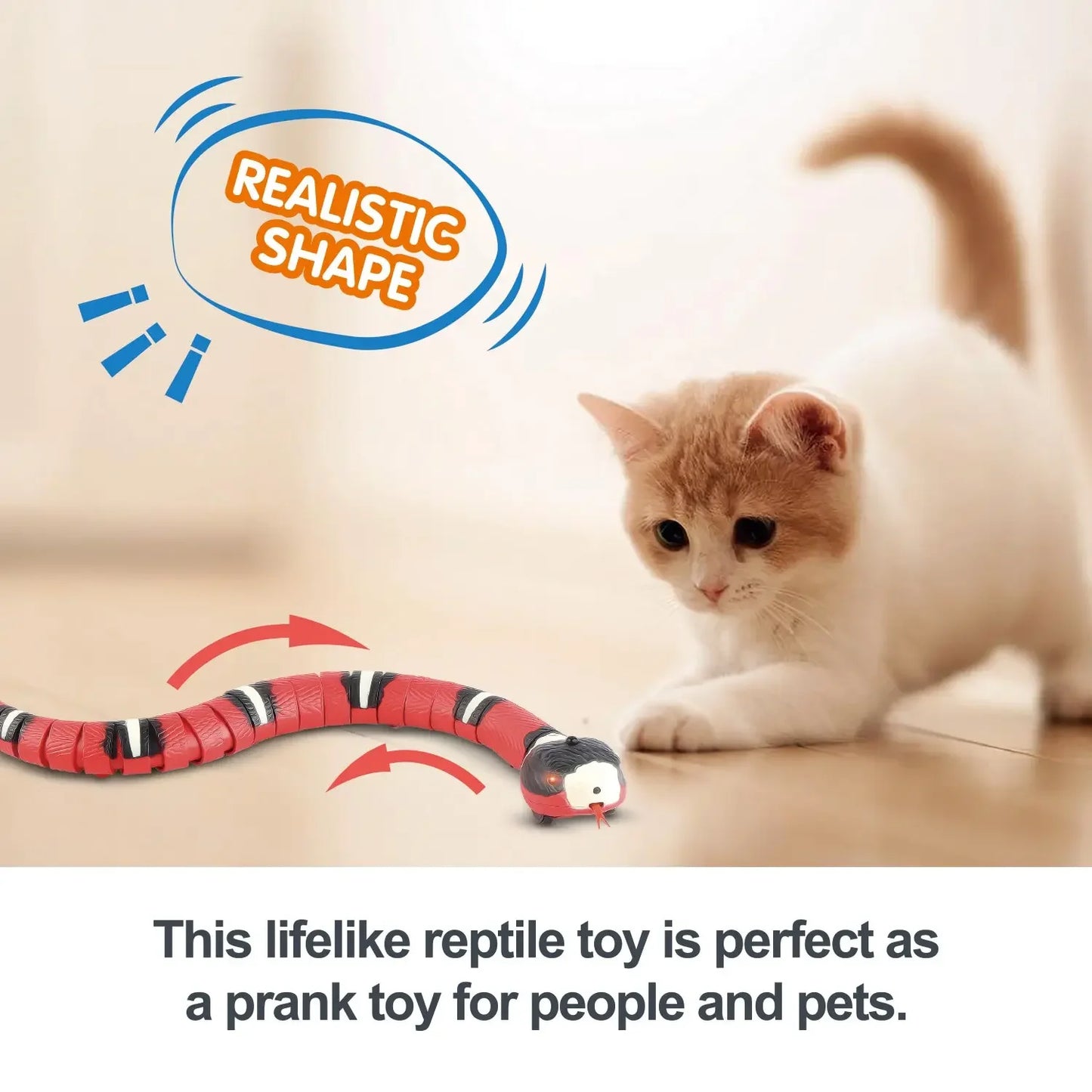 kitten Snake toy