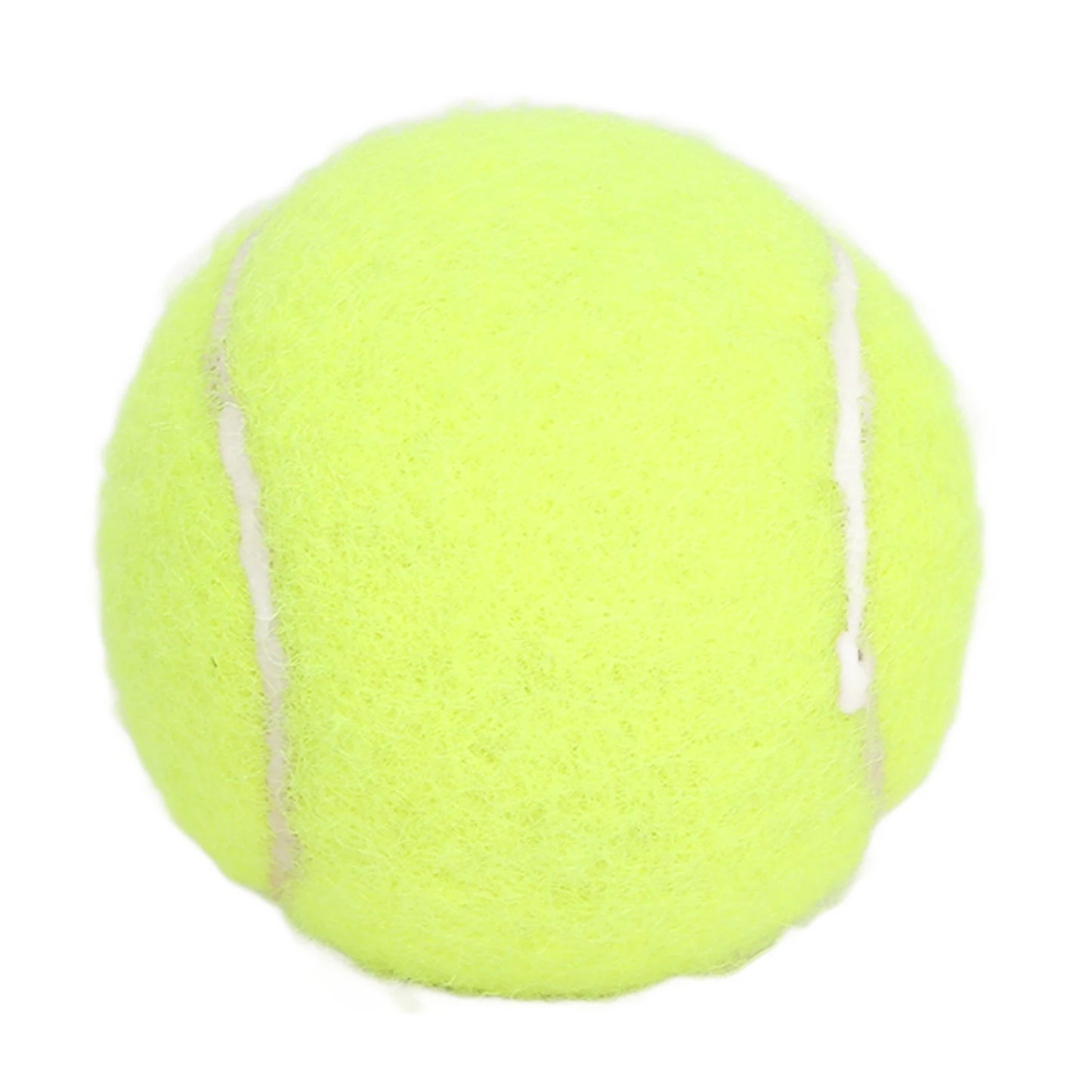 Dog ball toy