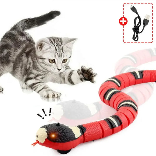 kitten Snake toy