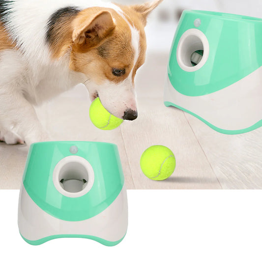 Dog ball toy