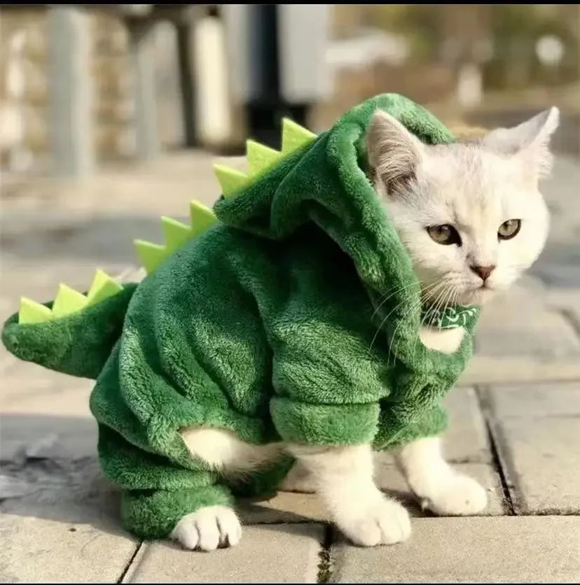 kitten Dinosaur